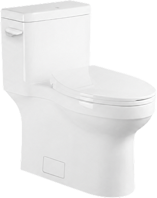Toilette monopièce Valita